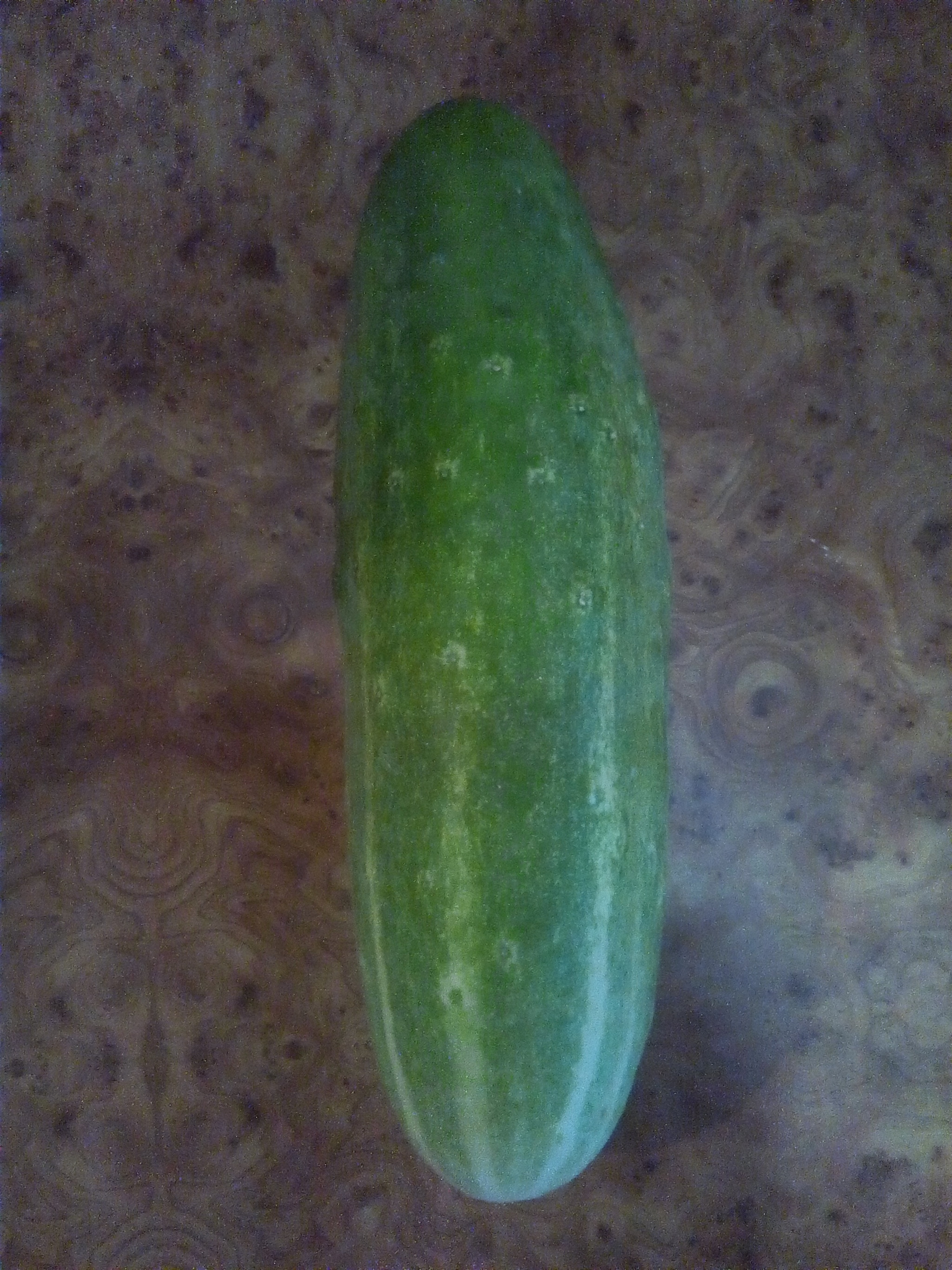 Cucumber - My, Garlic, Cucumbers, Vegetables, Longpost