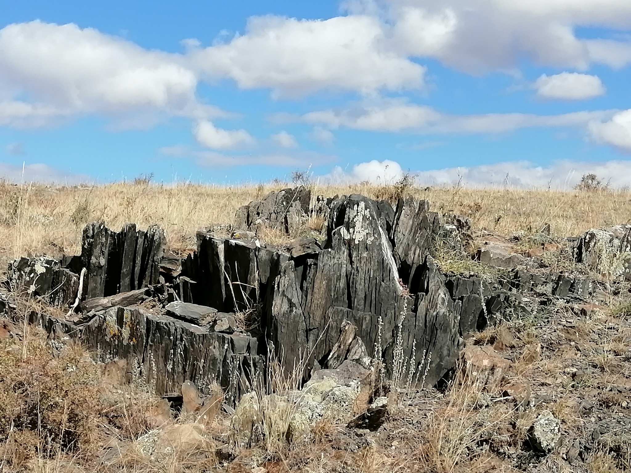 A little harsh steppe - My, Photo on sneaker, Steppe, Nature, Kazakhstan, Longpost