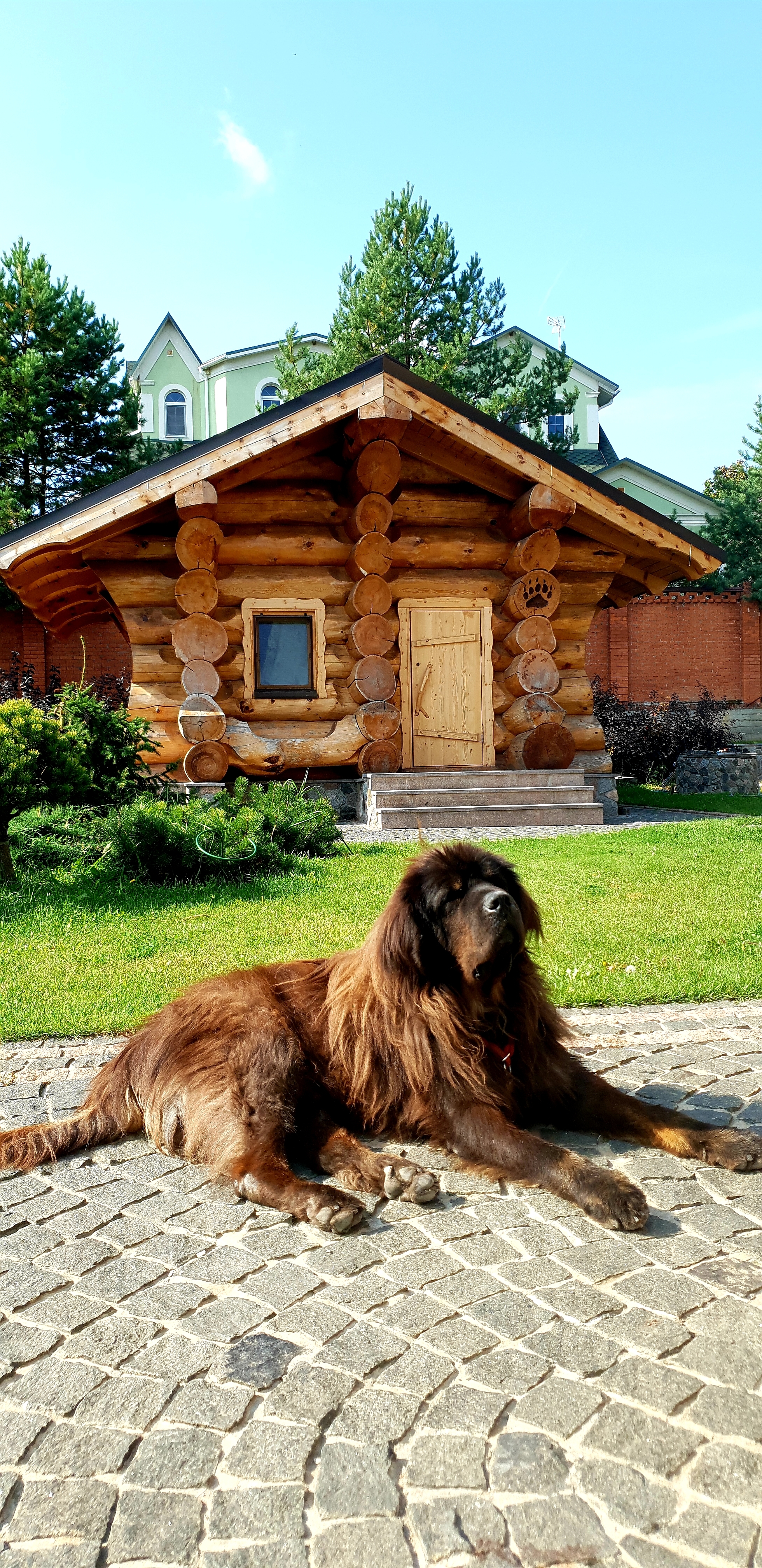 Bathhouse Friendship - My, Log house, Bath, A carpenter, Master, Woodworking, Longpost, Canadian logging