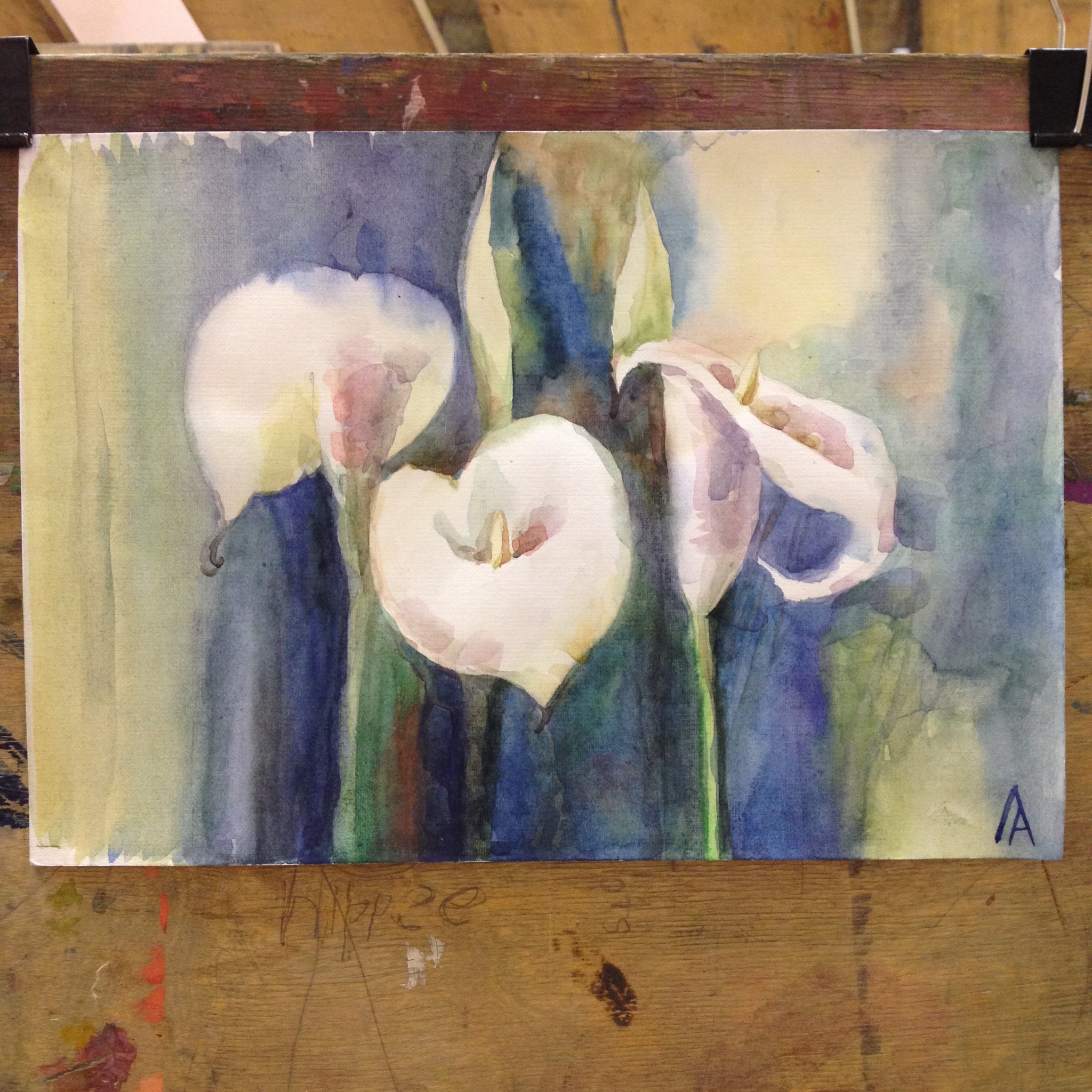 My flowers. Callas. (paper, watercolors) Give the girls flowers! - My, World of flowers, Artist, Painting, Flowers, callas, Watercolor, Yang Do artist