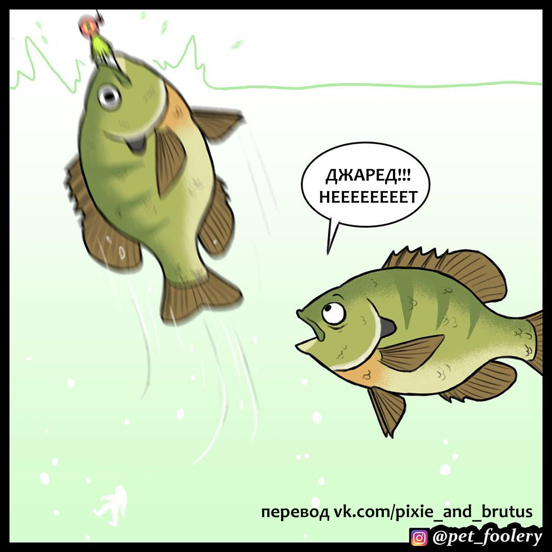 Приманка - Комиксы, Pet Foolery, Перевод, Длиннопост, Рыбалка, Рыба, Приманка