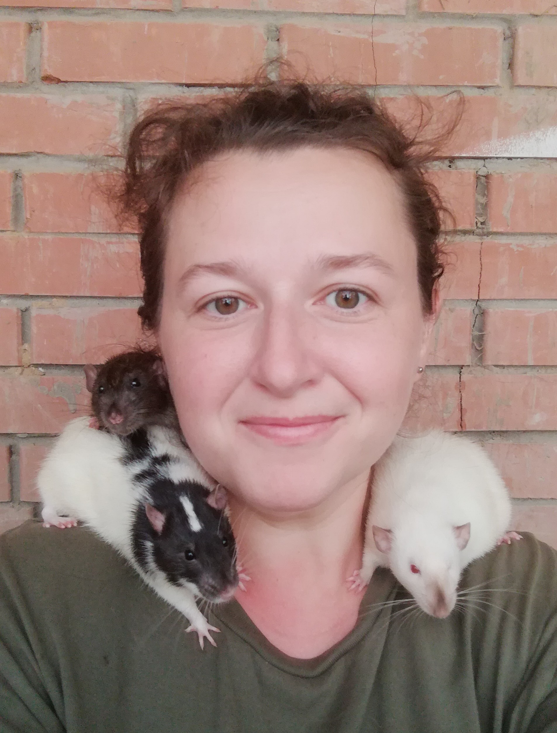 My furry job - My, Rat, Rat dumbo, Zoo, Animals, Work, Работа мечты, Milota, Fluffy, Longpost