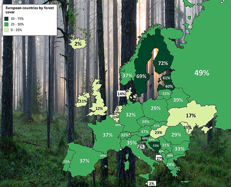 European countries and percentage of forest! - Europe, Country, Infographics, Forest, Interest, Correlation, Interesting, Cards