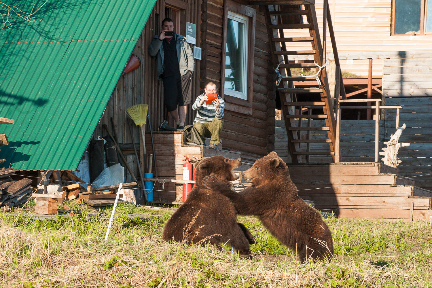 That case when work is life!... - The Bears, Brown bears, Wild animals, Kamchatka, Kuril lake, Reserves and sanctuaries, Vocation, Работа мечты, Longpost