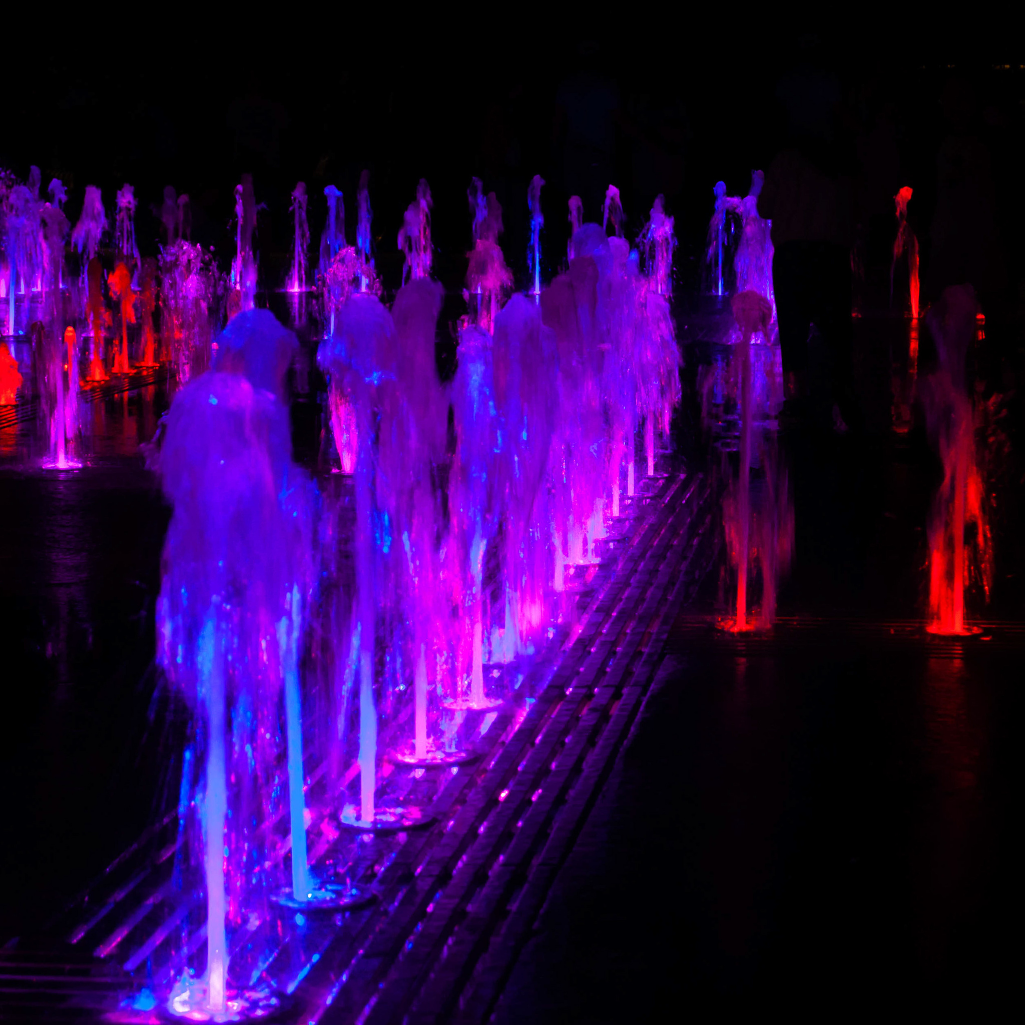 Exchange Square - My, Fountain, Light and music, Kaliningrad, The photo, Longpost