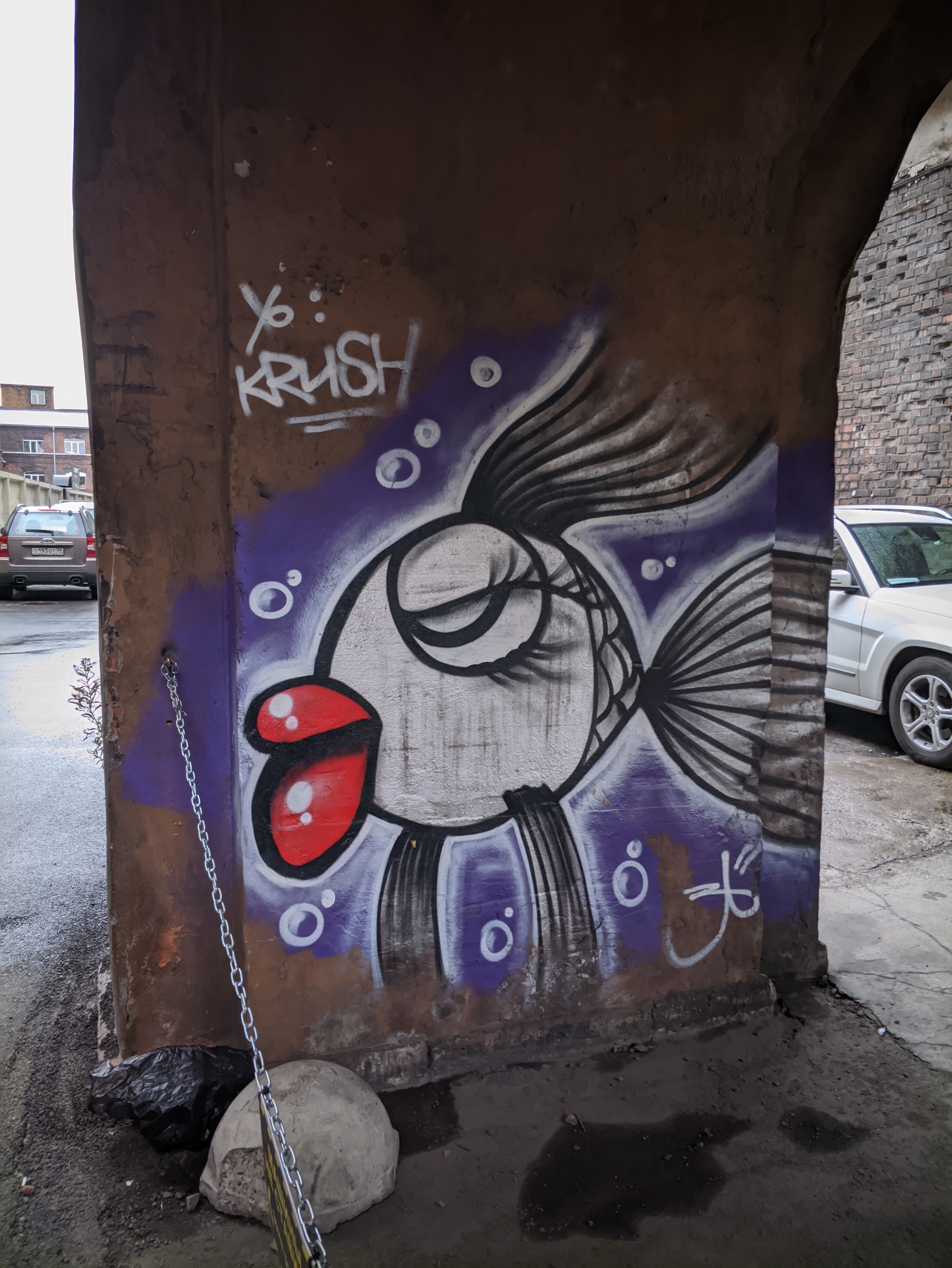 Fish - My, Saint Petersburg, Street art, A fish, Street painting, Red Triangle, Courtyard, Drawing on the wall