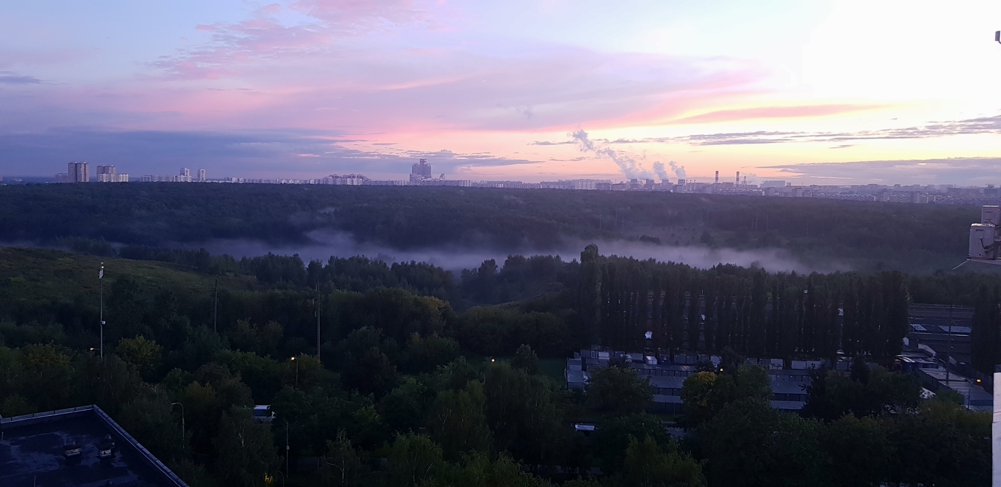 It looks like fogbirds have spawned near Tsaritsino Park - My, Witcher, The photo, Sunset, Fog