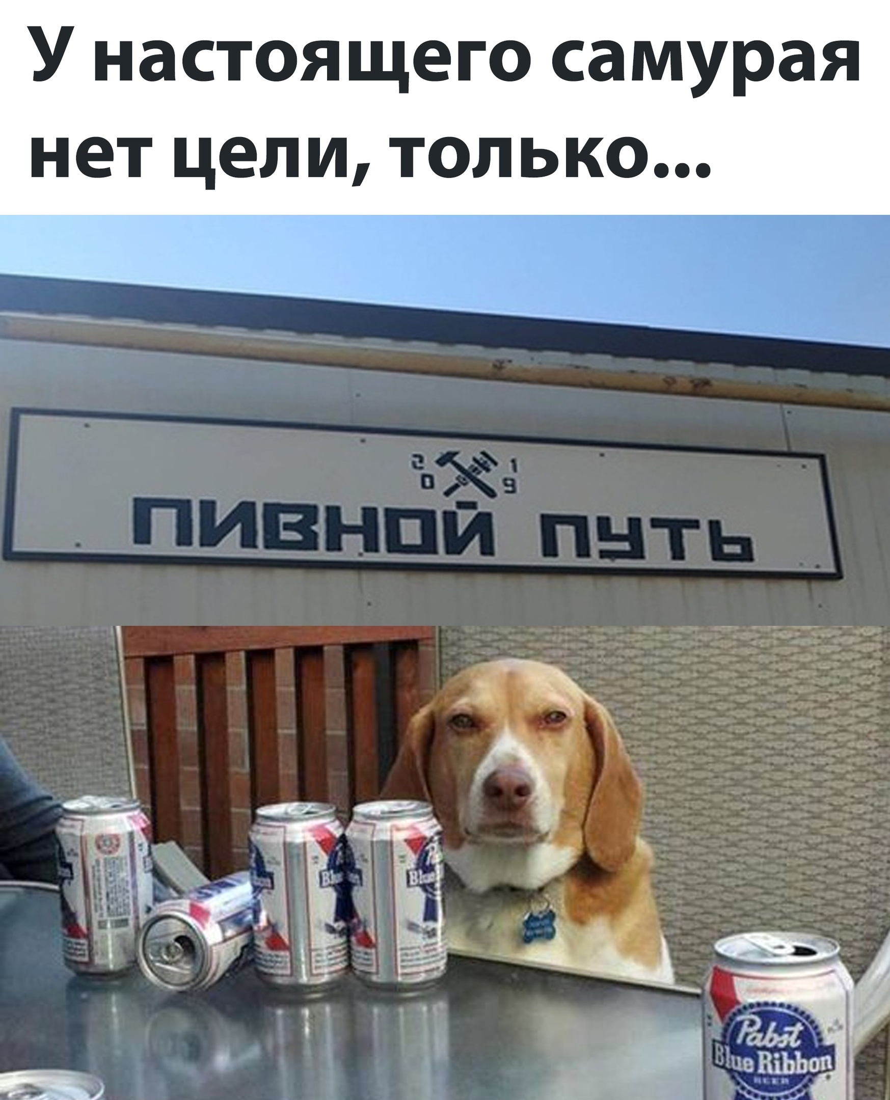 Way of the Samurai - Humor, Beer, Dog, Picture with text