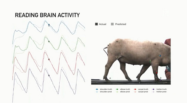 Elon Musk showed a new version of Neuralink and a chipped pig - Elon Musk, Neuralink, Neuroscience, Implants, The verge, Techcrunch, Fda, Video, Longpost