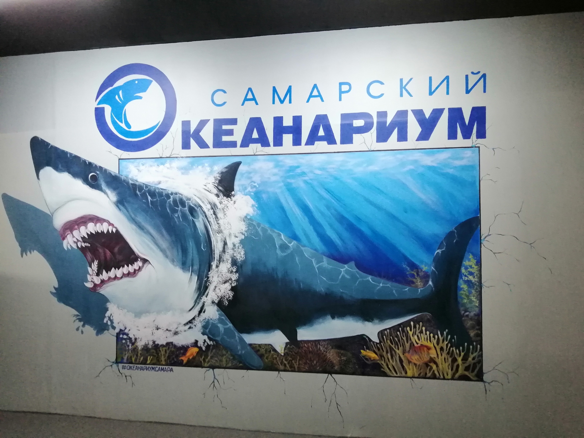 Samara Oceanarium - My, Samara, Photobritish, Oceanarium, Longpost