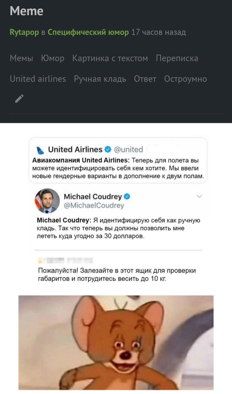 Reply to the post Meme - Memes, Humor, Picture with text, Correspondence, United airlines, Hand luggage, Answer, Плагиат, Reply to post, Longpost, Moderation questions