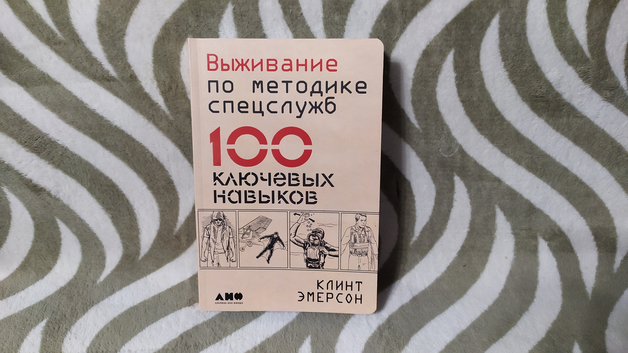 Обмен на случай Апокалипсиса Питер-Киров - Обмен подарками, Отчет по обмену подарками, Апокалипсис, Длиннопост, Кот, Санкт-Петербург, Киров