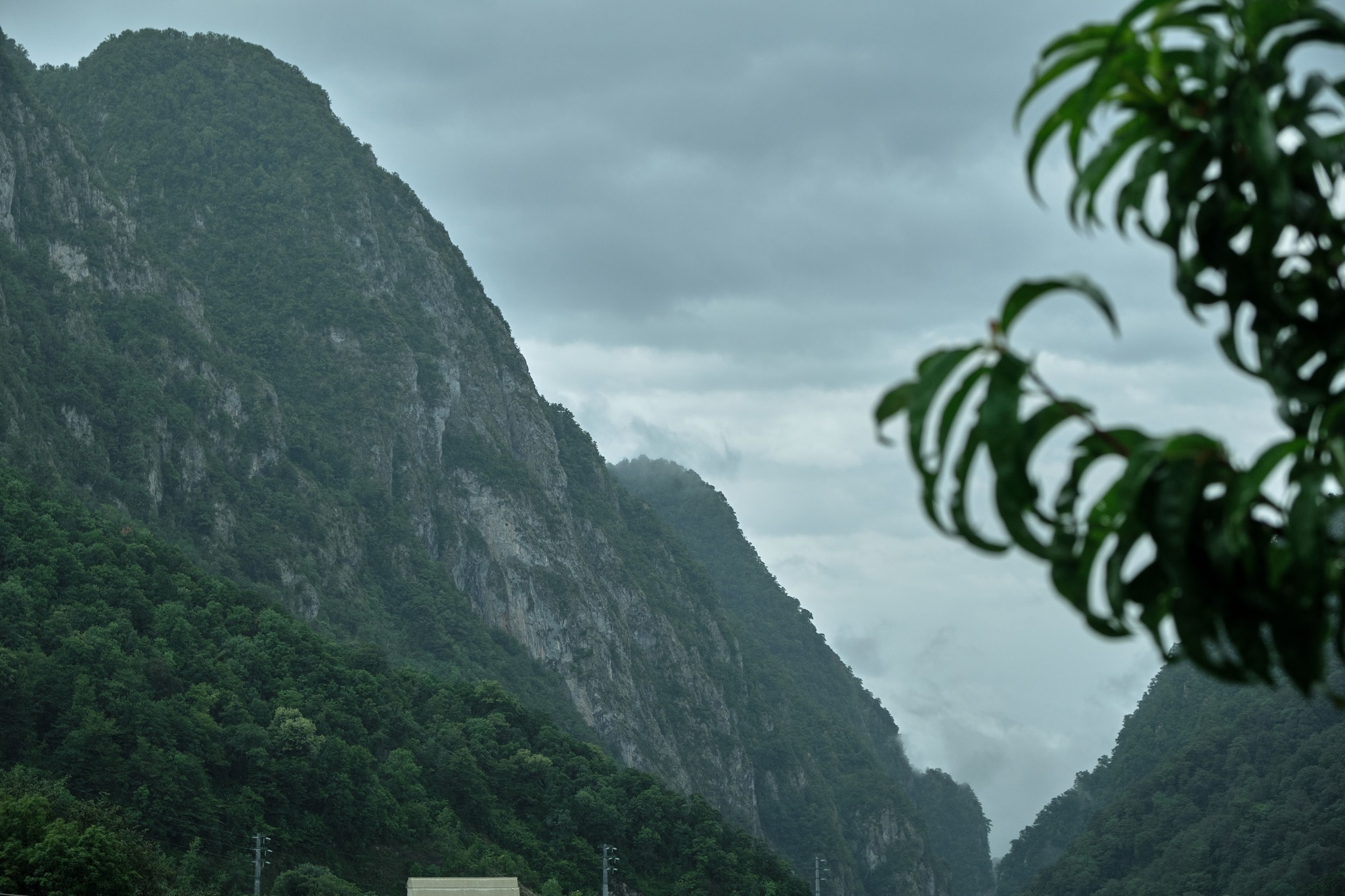 In Sochi in the rain part 2 - My, Sochi, Rosa Khutor, Adler, Krasnaya Polyana, Black Sea, Краснодарский Край, Video, Longpost