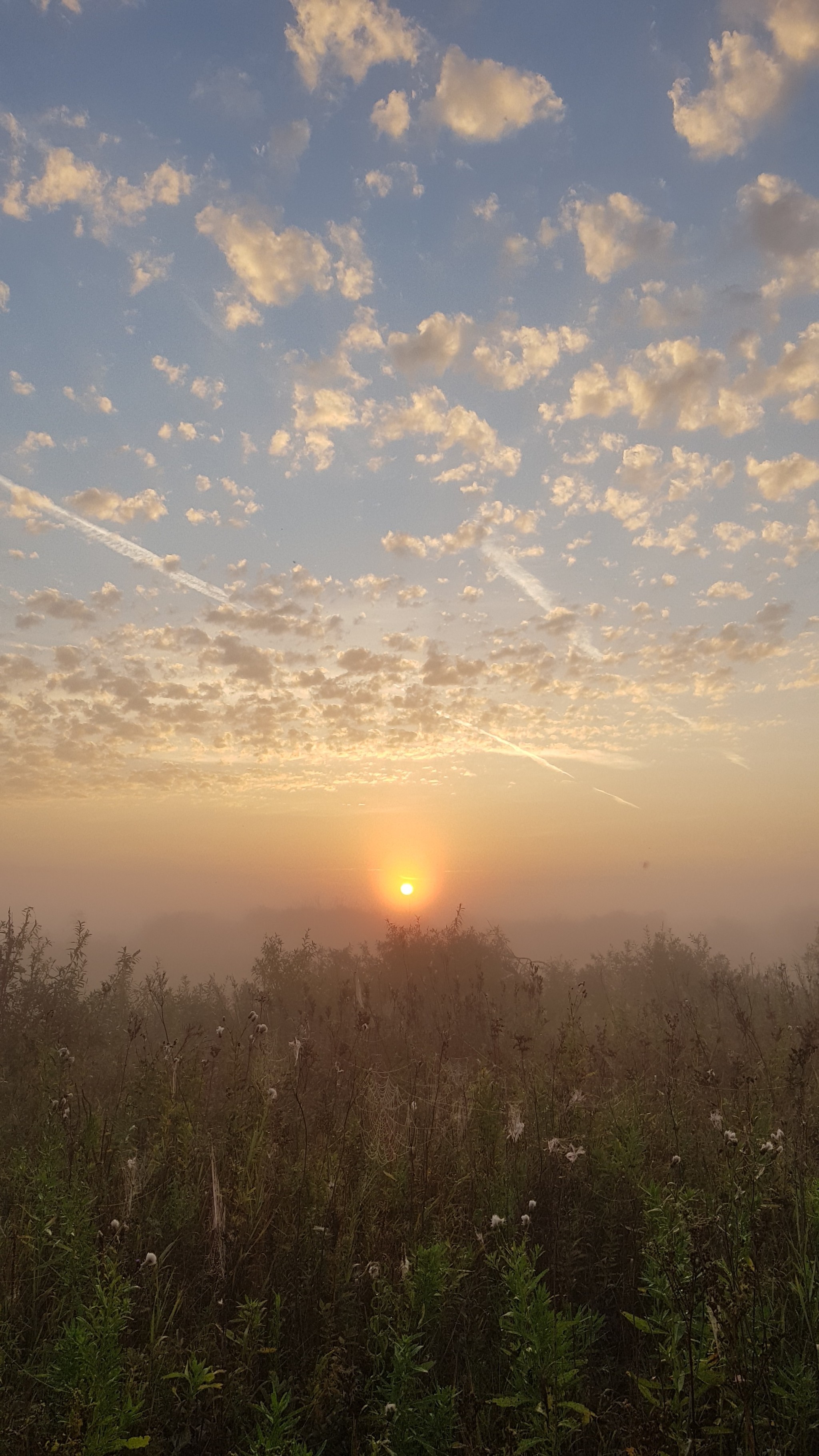 Morning on the banks of the Pyshma River - My, Hunting, dawn, Tyumen, Pyshma, Sky, Clouds, The photo, Nature