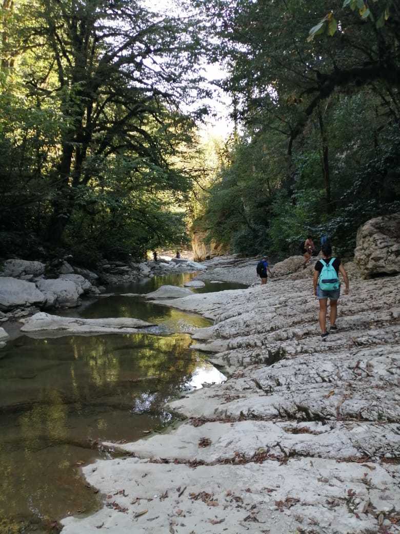 Dry bed of the Psakho River - My, Sochi, Psaho, Canyon, Drought, Hike, Longpost