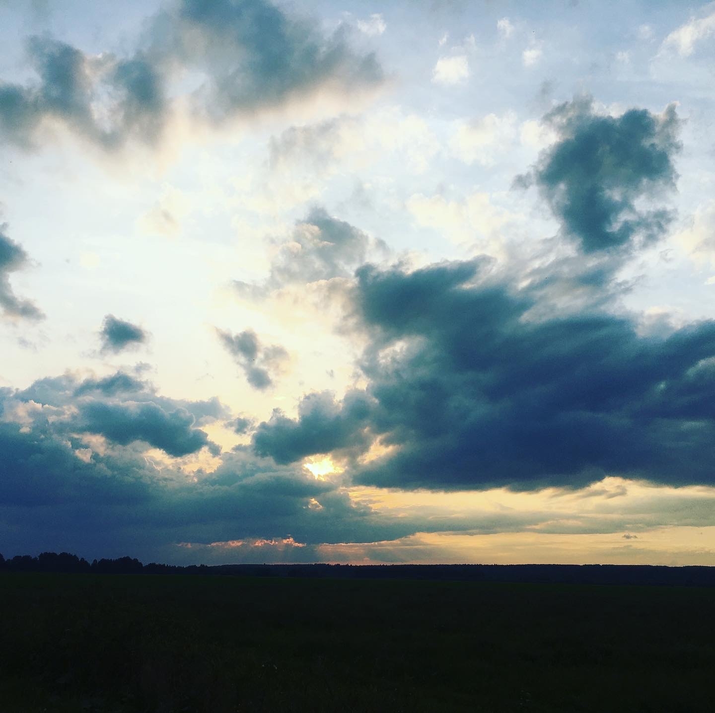 Grass and sky - Sky, Grass, Sunset, Autumn, The photo, September 1, Longpost