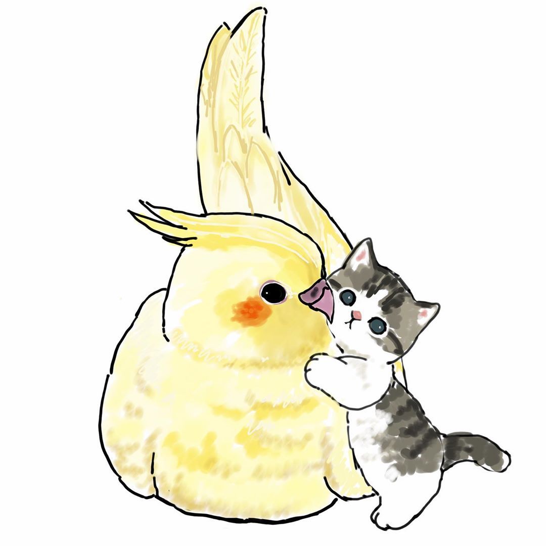 Кошка и попугай рисунок