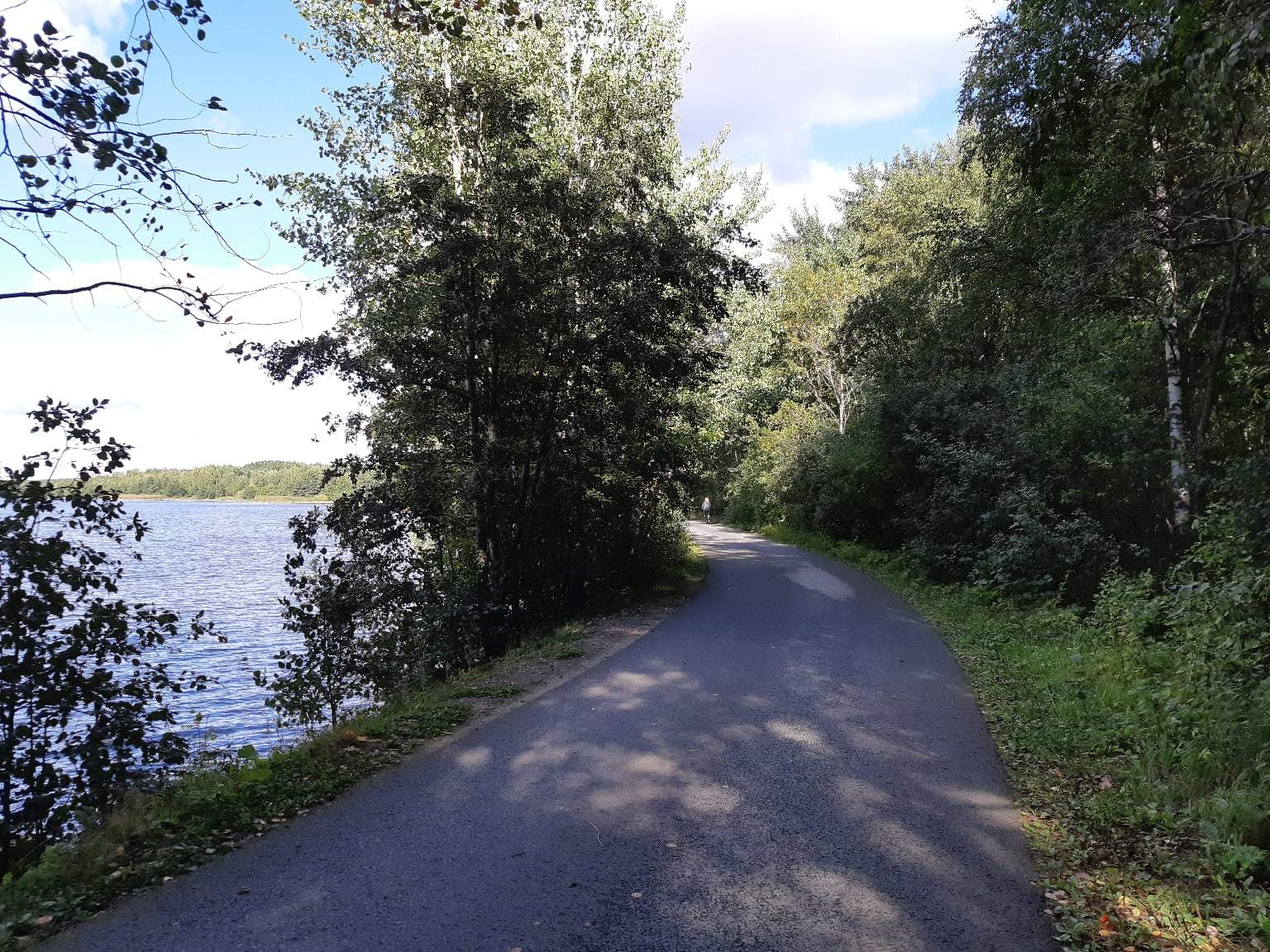 A walk near Lake Sestroretsky Razliv. Saint Petersburg - My, Sestroretsky spill, Lake, Sestroretsk, Saint Petersburg, The photo, Walk, Walk in the woods, Longpost