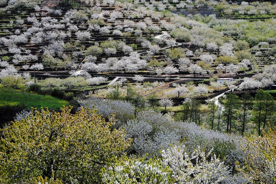 Spanish countryside - Spain, The photo, Travels, Longpost