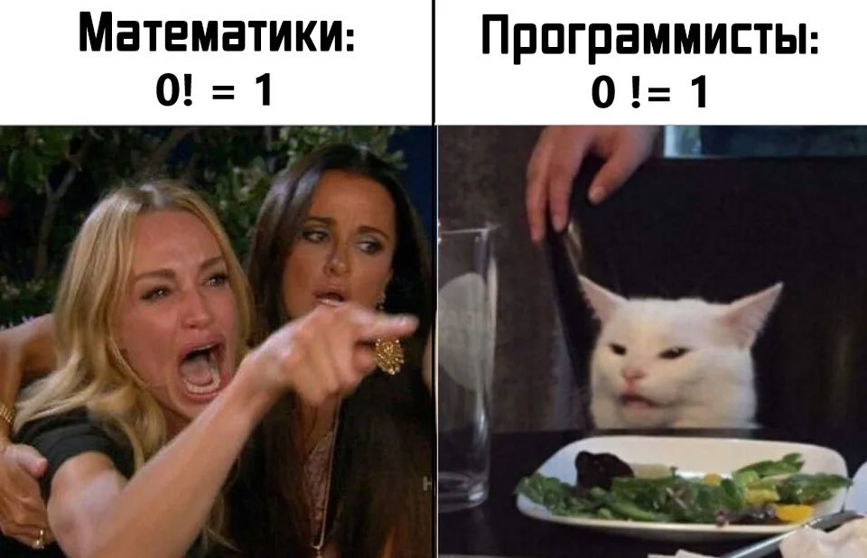 About programmers - Memes, Humor, Two women yell at the cat, Mathematics