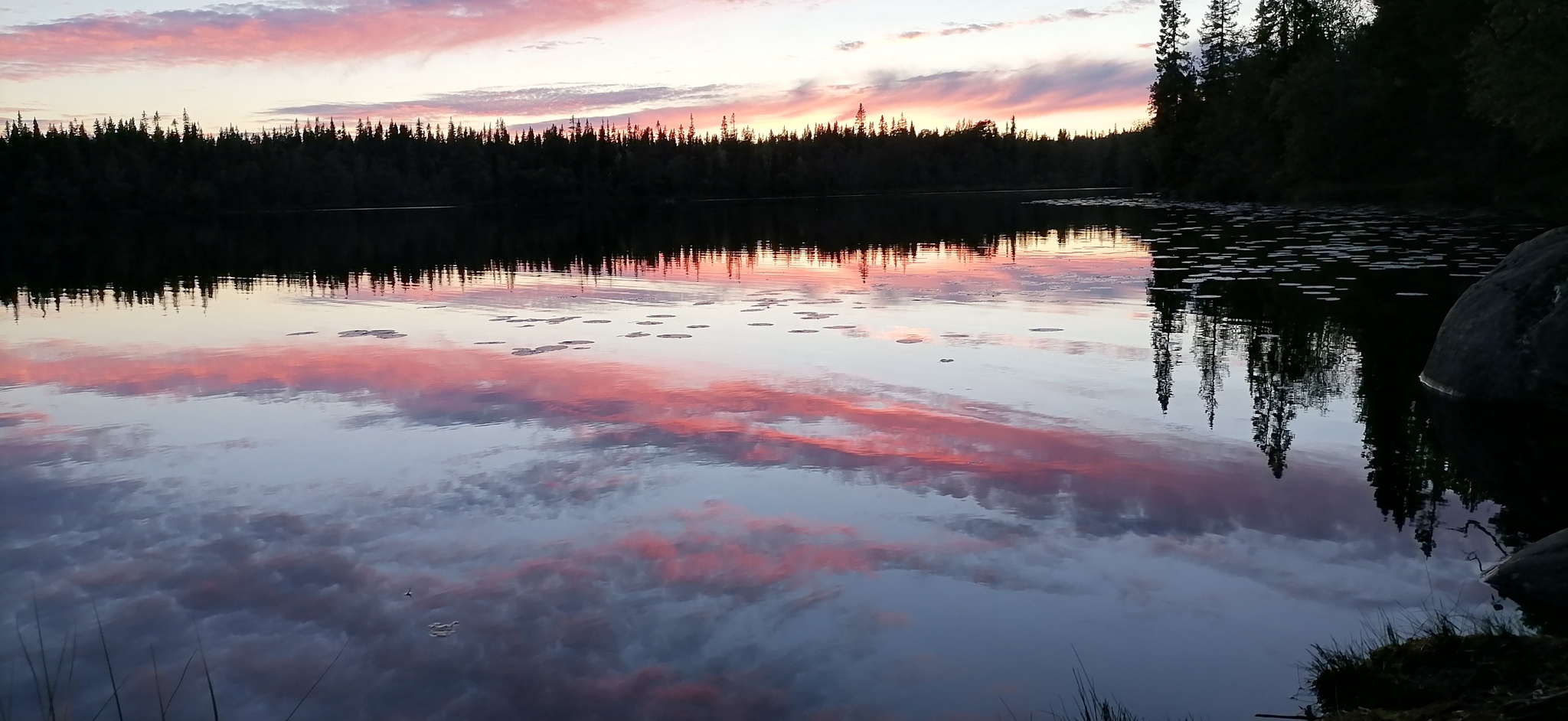 Solovki - My, Relaxation, Nature, Solovki, Longpost