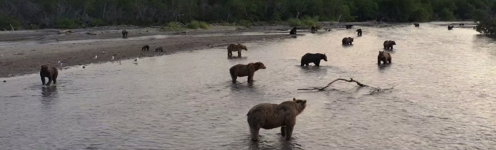 “Splendor and poverty” of Kamchatka. About poachers, gold mining and ecotourists - Kamchatka, Ecology, A fish, Tourism, Longpost