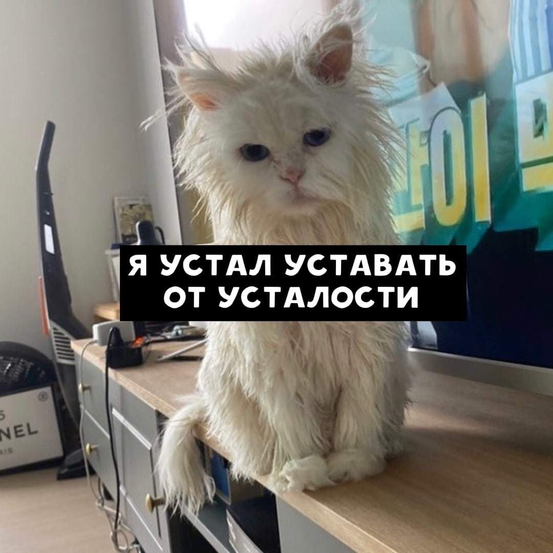 Усталость | Пикабу