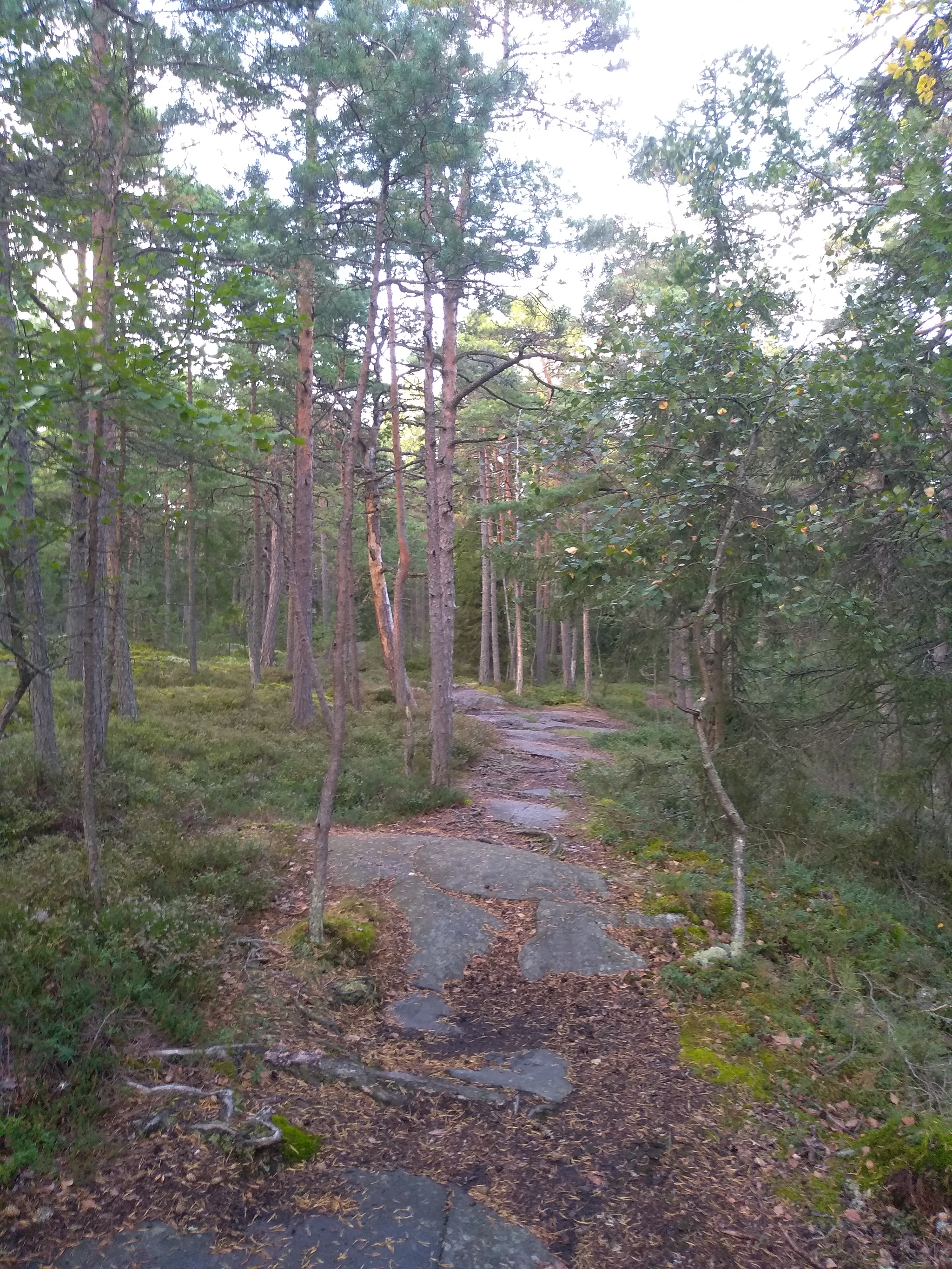 Camping the Finnish way - My, Finland, The park, Grill, Sea, Camping, Places for the disabled, Hiking, Travels, Longpost