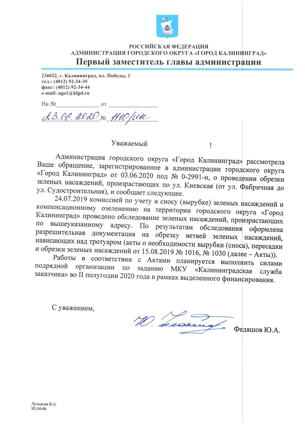 The stupid mayor's office of Kaliningrad or how officials don't care about people. Tree pruning, whatever, just unsubscribe and scratch your tongue - My, Kaliningrad, Housing and communal services, Negative, Death, Officials, Russia, Indifference, Longpost, A complaint, Pruning trees, Branch