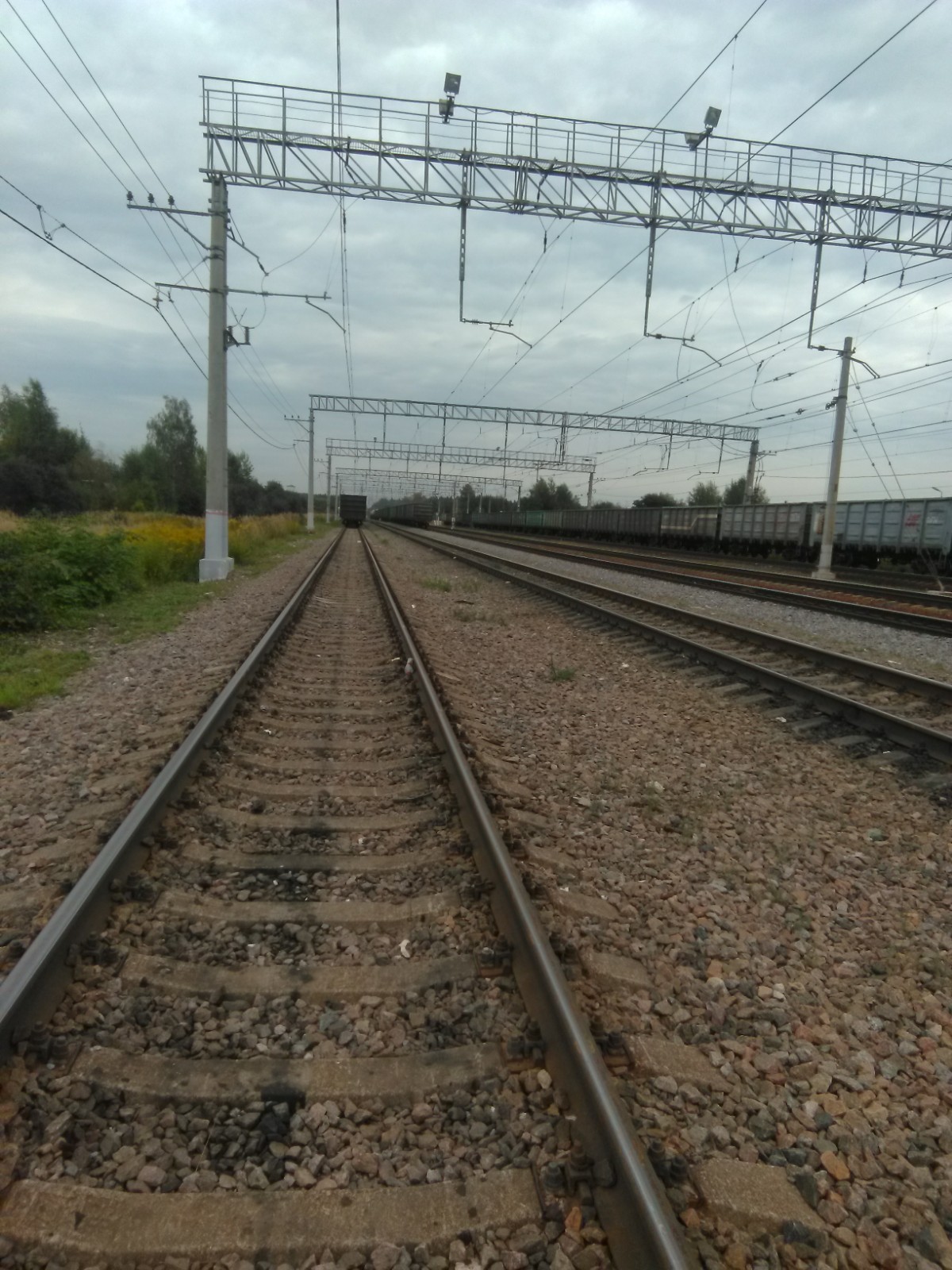 Метки в лесу,скамейки в лесу,ст петелино,сушкинская Белл,напр - Моё, Лес, Скамейки, Длиннопост