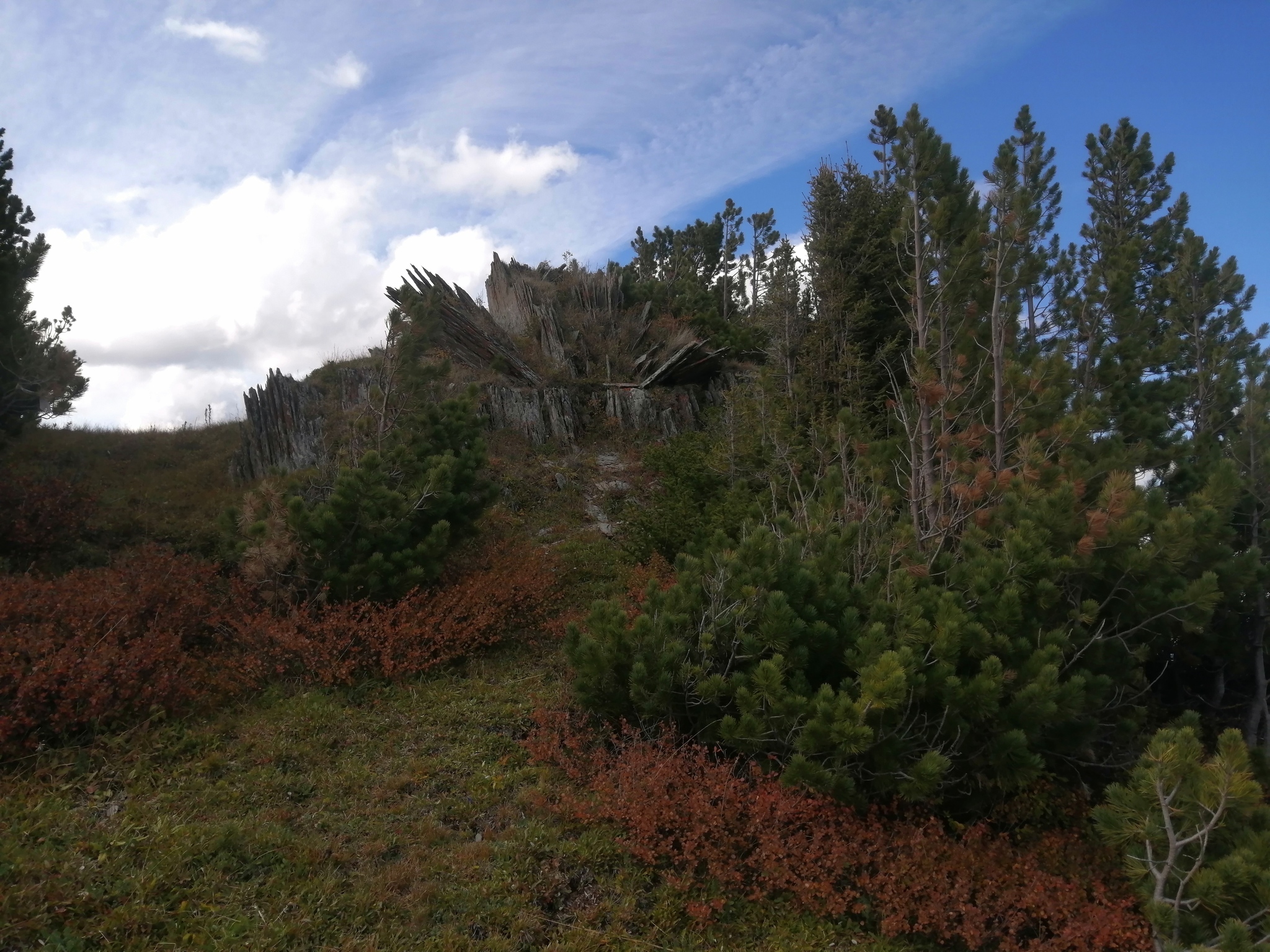 A piece of Altai - My, The mountains, Altai Republic, Longpost