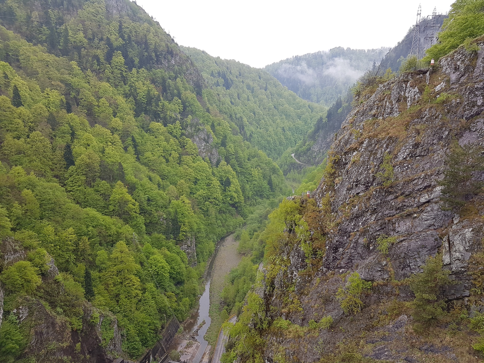 Carpathians - My, Romania, The mountains, Longpost, The photo, Nature