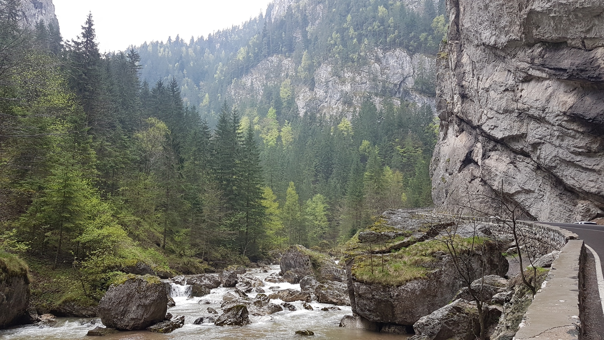 Carpathians - My, Romania, The mountains, Longpost, The photo, Nature