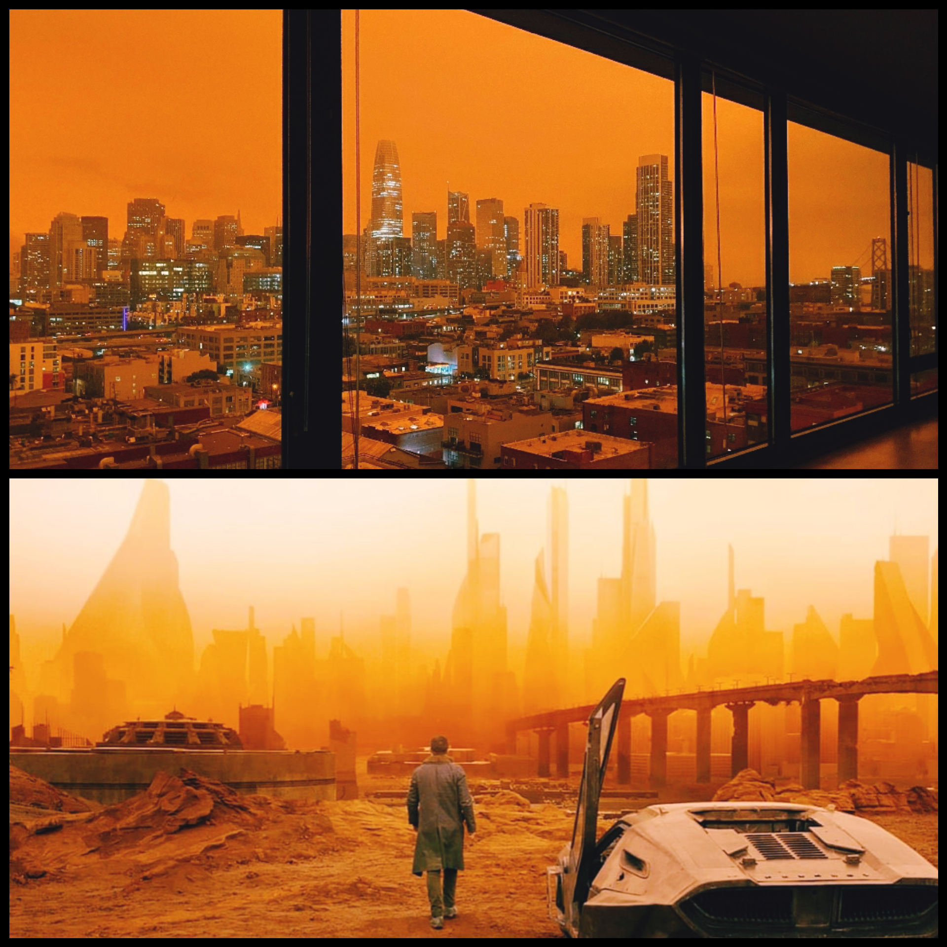 San Francisco these days looks exactly like the city from Blade Runner 2049 - The photo, USA, San Francisco, Landscape, Movies, Blade Runner 2049, Similarity, Fire, Sky, Forest fires