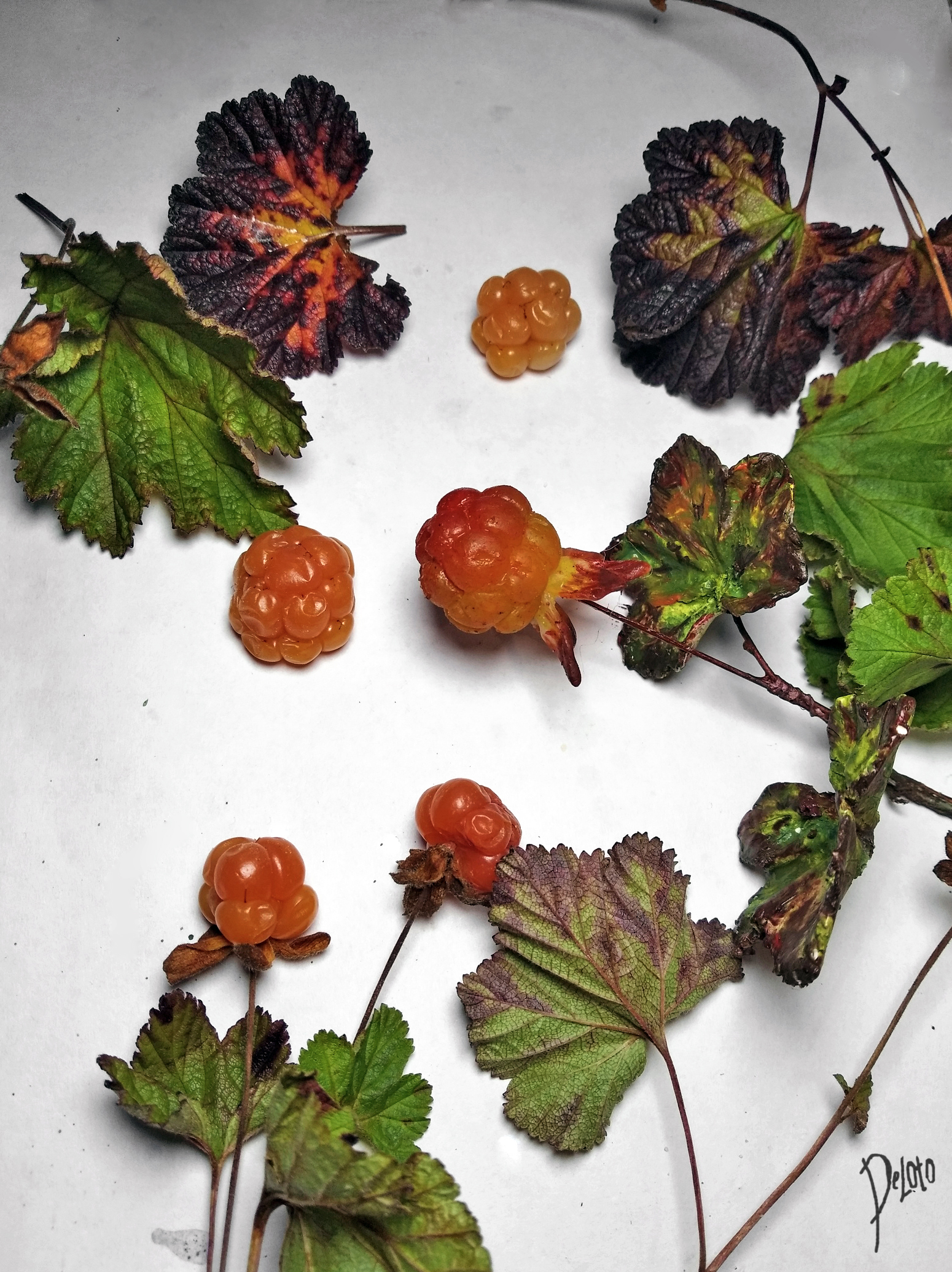 Cloudberries made of polymer clay. Process - My, Berries, Handmade, Cloudberry, Polymer clay, Friday tag is mine, Props, Needlework with process, Process, Longpost