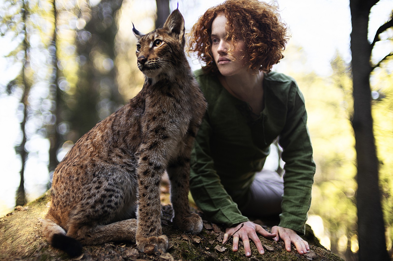 We're the same blood - Animals, The photo, Video, Longpost, Fox, Redheads, cat, Lynx, Owl, Dog