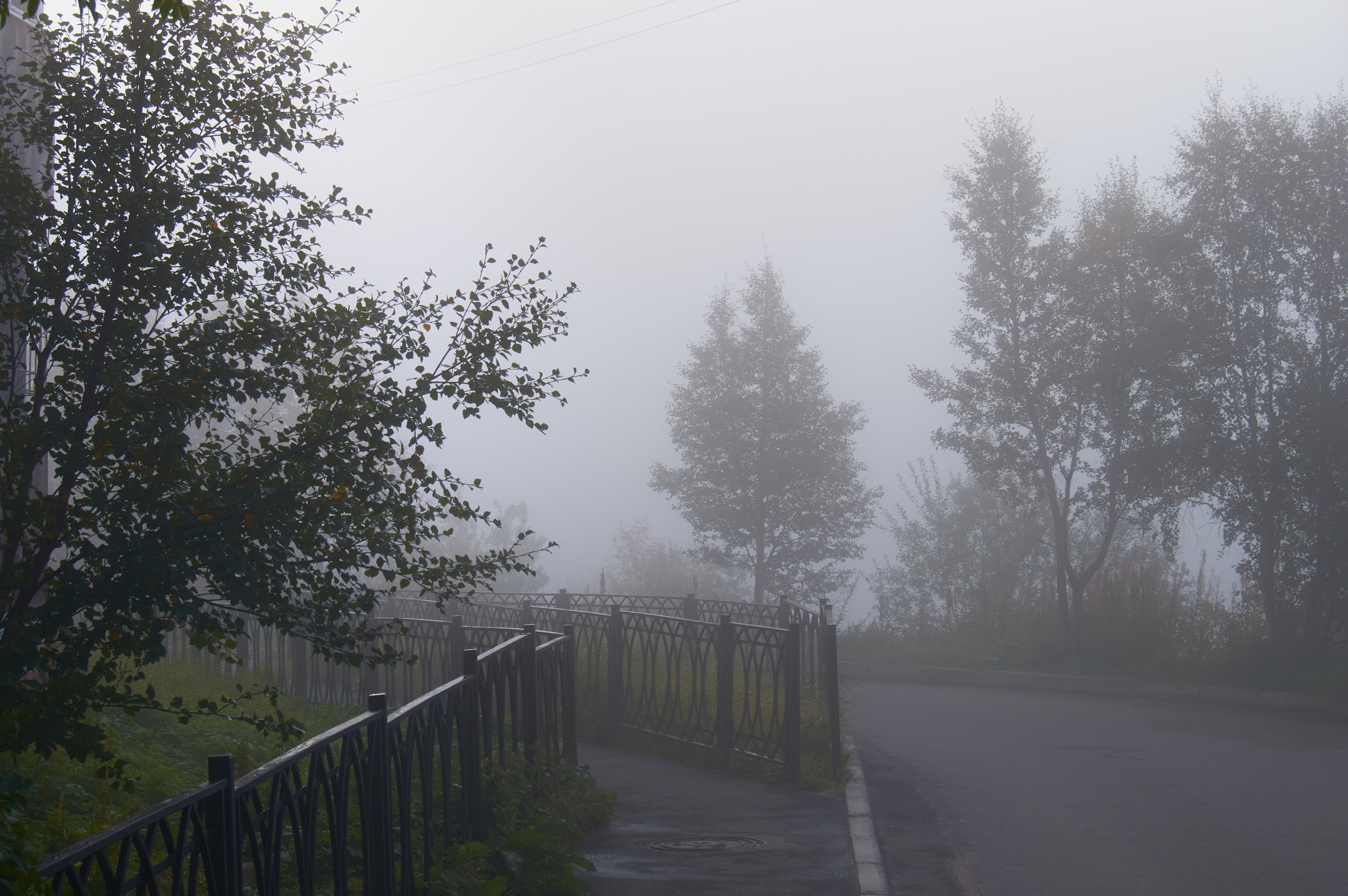 Morning autumn fog in Murmansk - My, The photo, Fog, Longpost, Murmansk