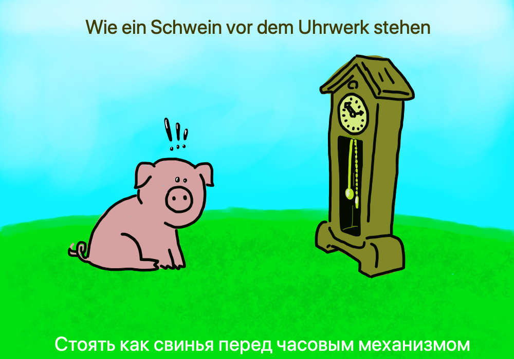 Proverbs in German - pig or ram? - German, Proverbs and sayings, Sayings, Pig