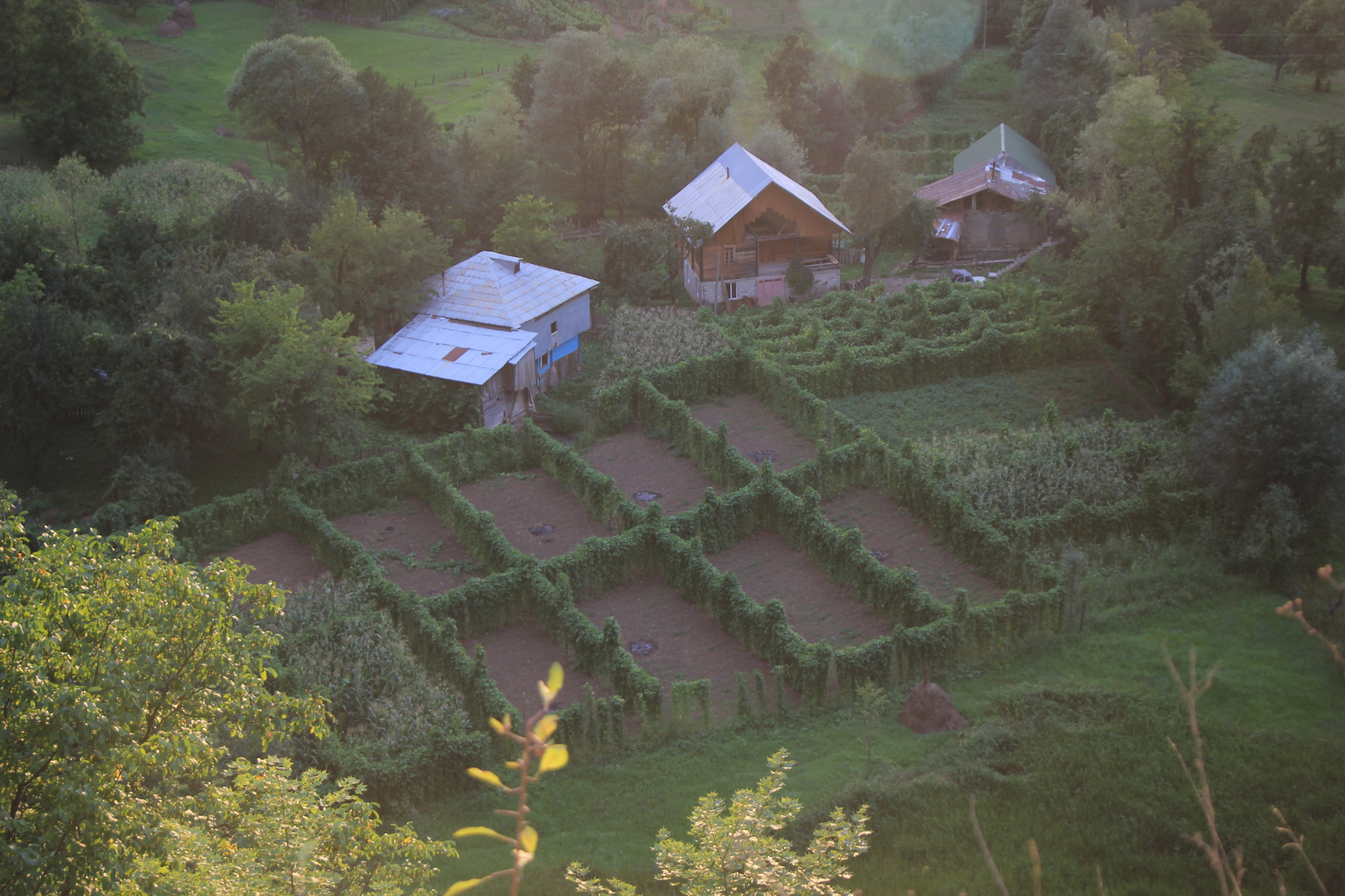 What kind of pass could it be? - My, Georgia, Adjara, Travels, Longpost, Nature