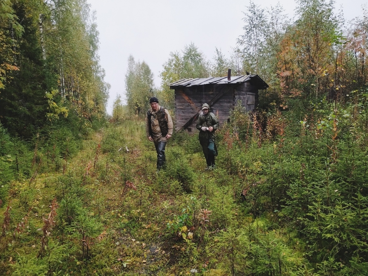 Search for missing people. A month in the forest. Found alive - People search, Pso, Forest, Arkhangelsk region, Positive, Longpost