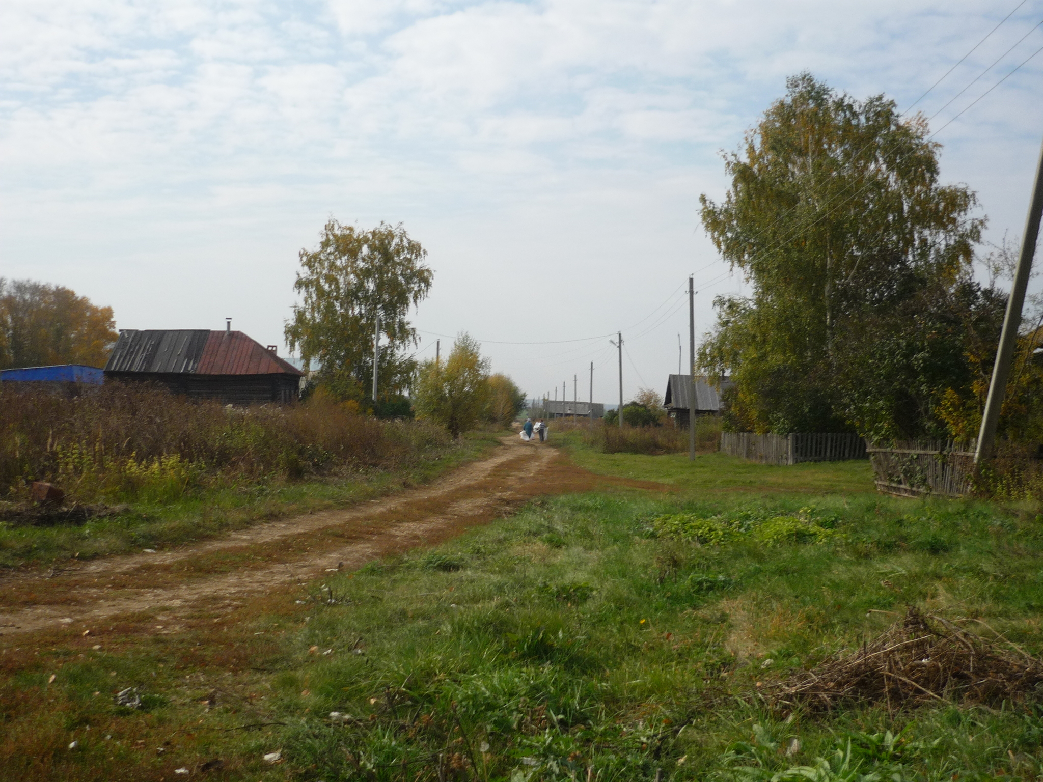 Русские и татарские деревни - Моё, Деревня, Жизнь, Татарстан, Длиннопост