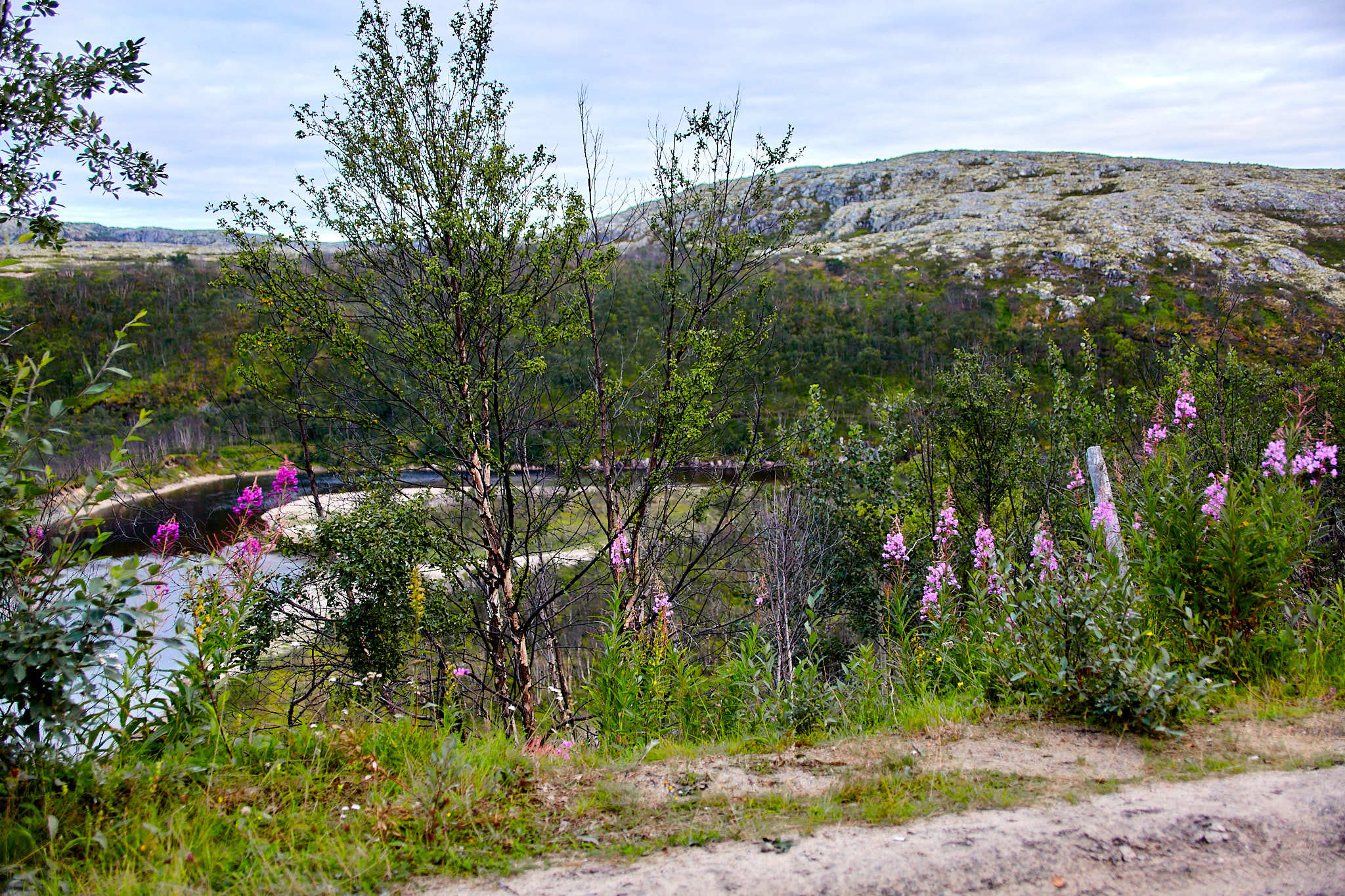 Kola Peninsula - My, Kola Peninsula, Landscape, Travels, Longpost, Murmansk region, Nature