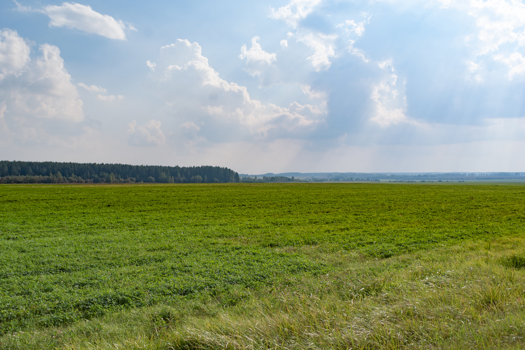 Belarusian beauties - My, The photo, Longpost, Republic of Belarus, Nature