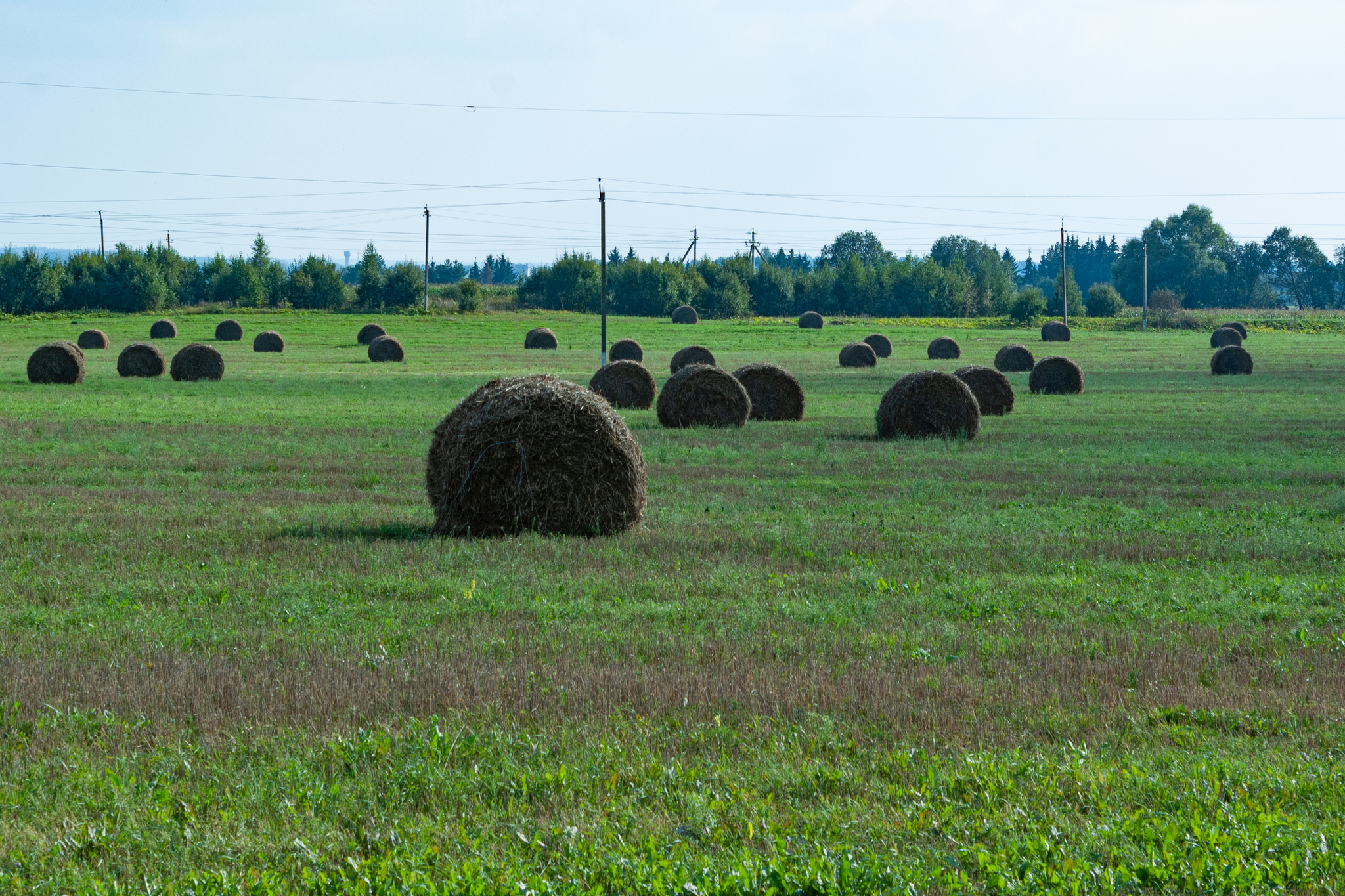 Belarusian beauties - My, The photo, Longpost, Republic of Belarus, Nature