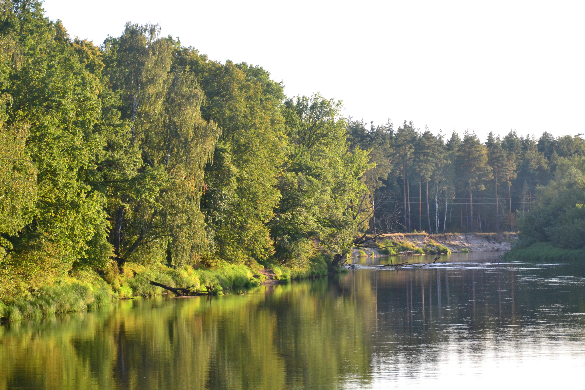 Palatochnoye (Vladimir region) - My, Nature, Tourism, Camping, Longpost, beauty of nature, The nature of Russia