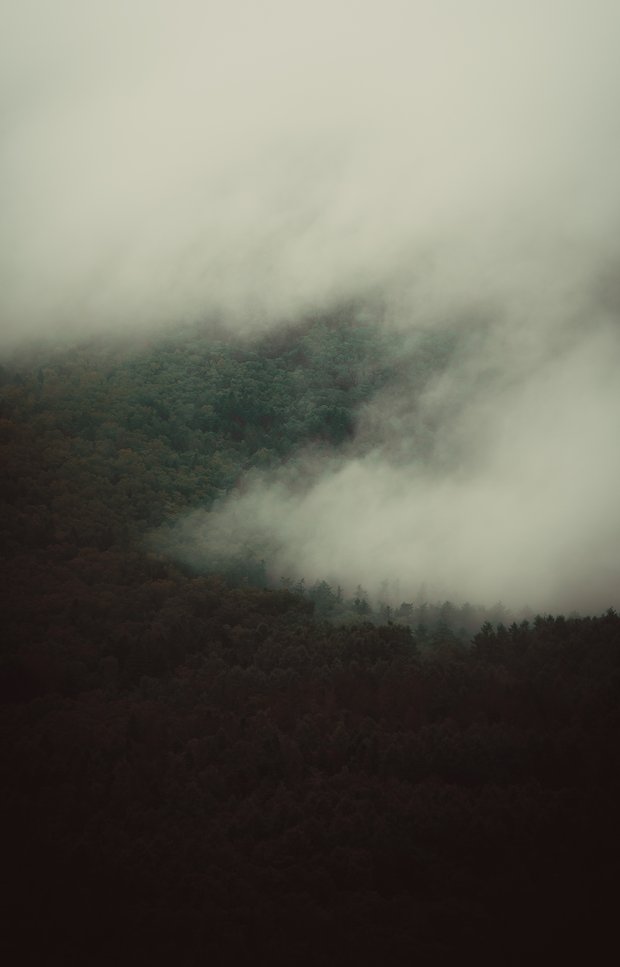 Above cloudy worlds - My, Fog, Nature, Atmosphere, Mood, Color, Autumn, Yuzhno-Sakhalinsk, Mountain air, Space, Contemplation, Longpost