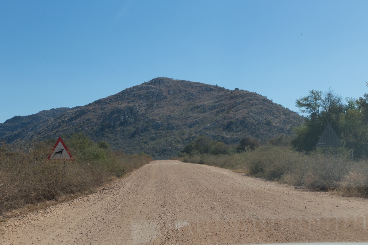 Namibia. 2019 - My, Namibia, Travels, Africa, Longpost, Animals