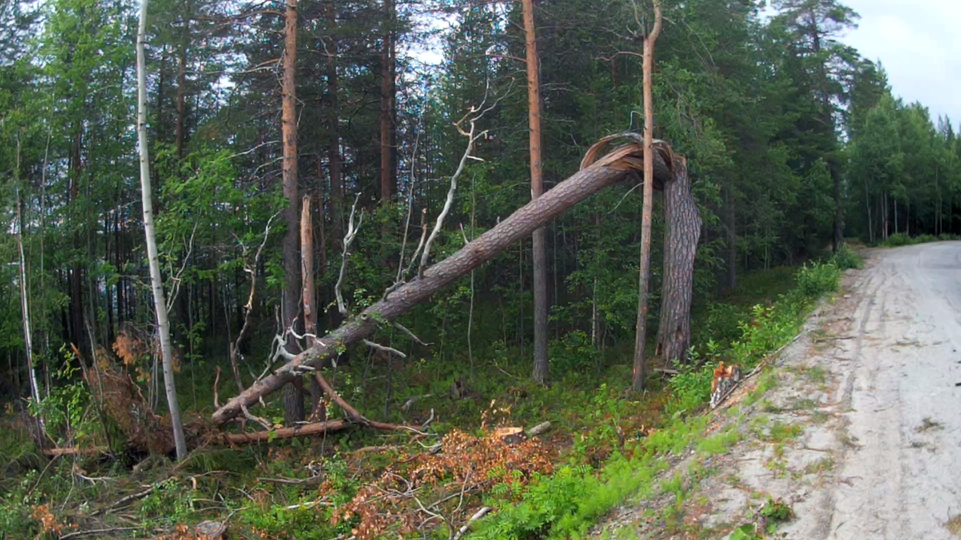 Karelia: Segezha - Nadvoitsy / Solo hiking trip - My, On foot, Tracking, Hobby, Travels, Hike, Карелия, Waterfall, Video, Longpost