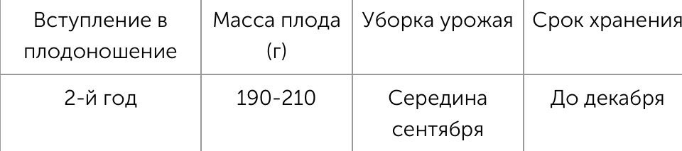 Яблоки с красной мякотью – что это за сорта и чем они лучше обычных - Яблоки, Урожай, Сад, Мякоть, Фотография, Текст, Картинка с текстом, Сельское хозяйство, Длиннопост