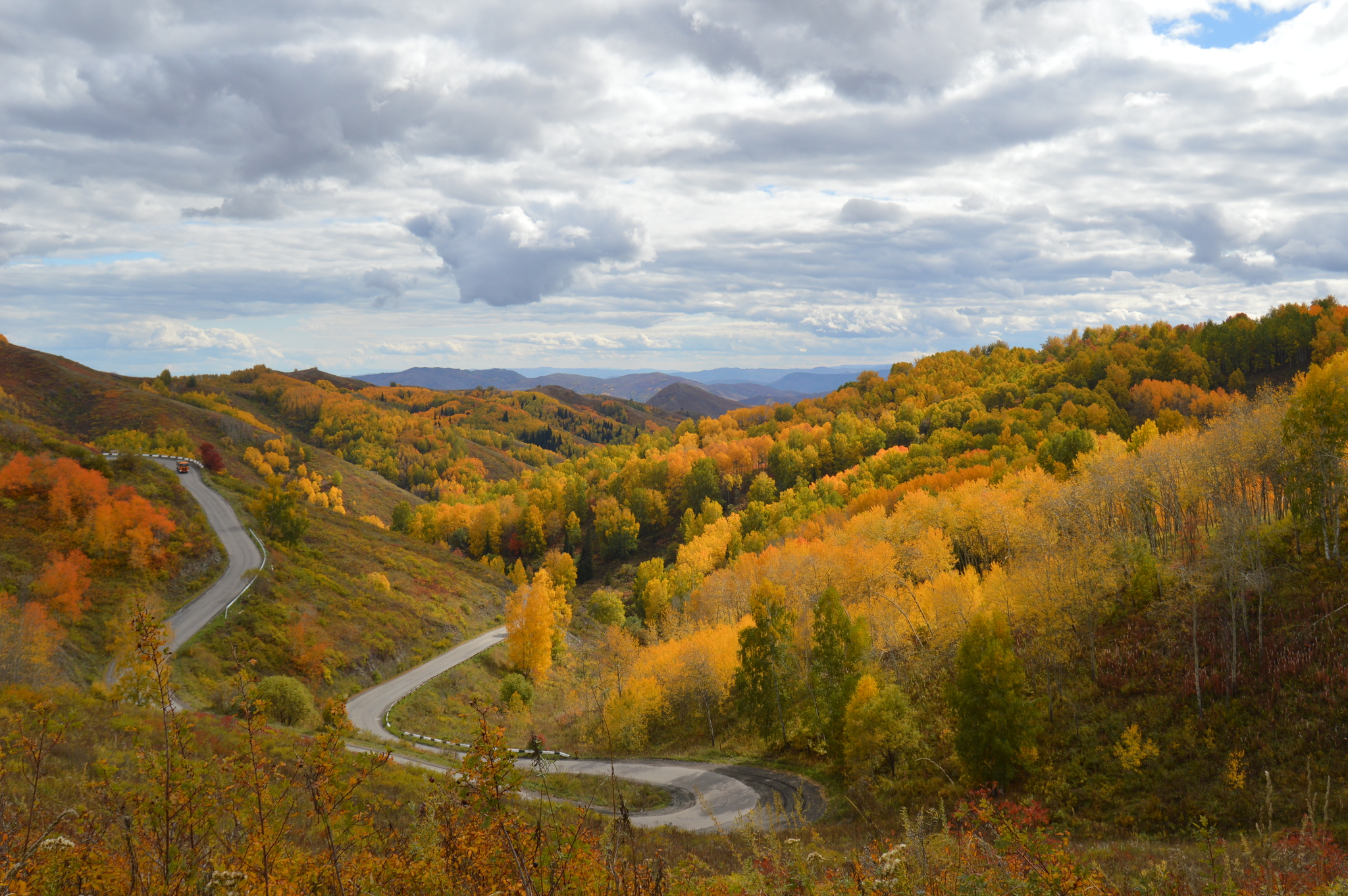 Autumn colors - My, The photo, Kazakhstan, Nikon, Autumn, The mountains, Ust-Kamenogorsk, Road